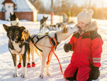 MULTI-ACTIVITES...dans le Champsaur [02MULTI]